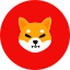 shiba-inu